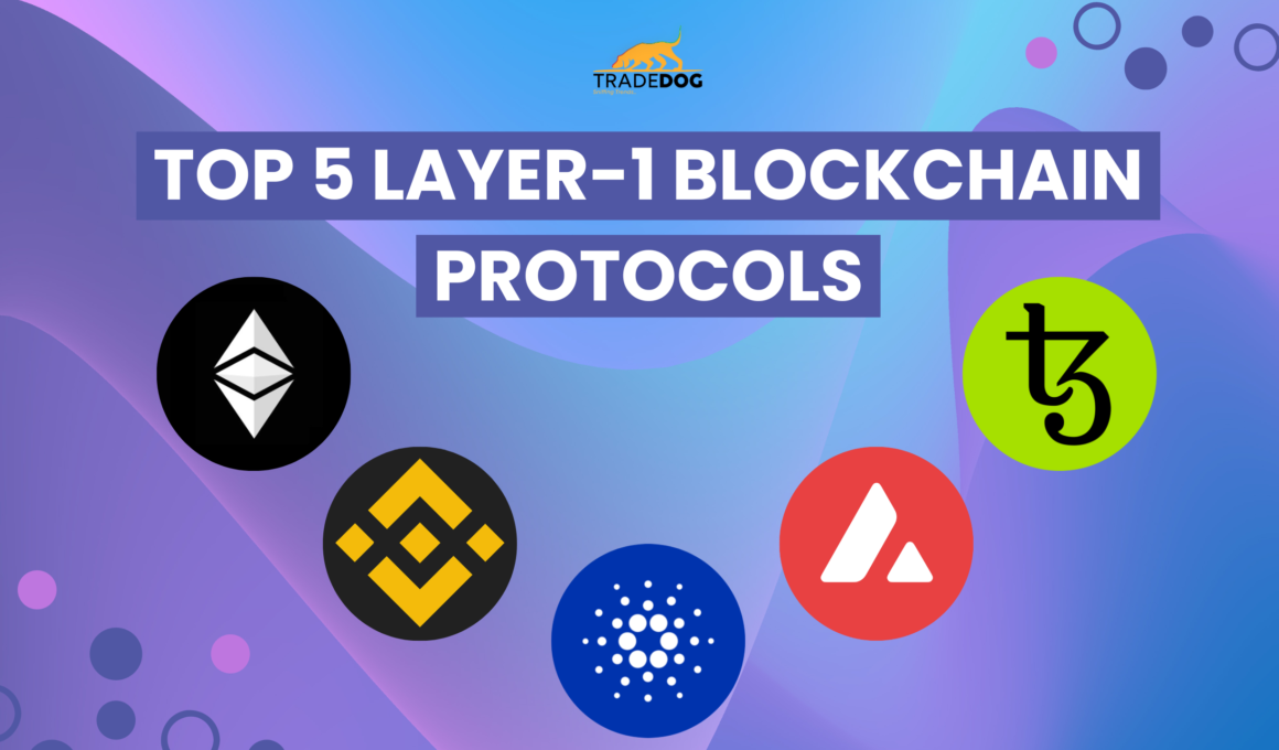 Top 5 Layer-1 Blockchain Protocols