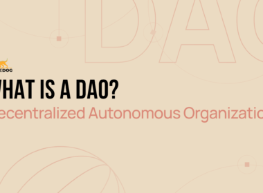 What is A DAO?