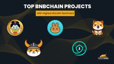 top BNBchain Project