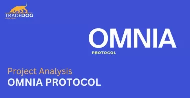 Blockchain Security and Privacy with Omnia Protocol 