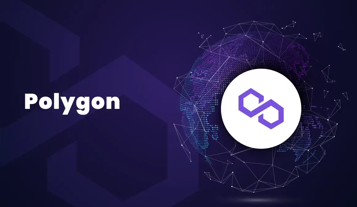 Polygon Project Report