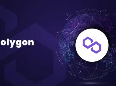 Polygon Project Report