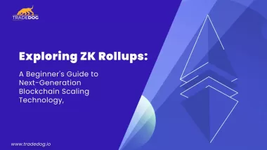 What is ZK Rollups