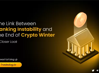 The Link Between Banking Instability and the End of Crypto Winter