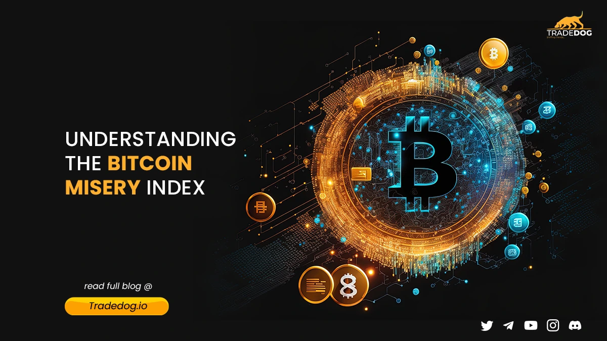 Understanding the Bitcoin Misery Index