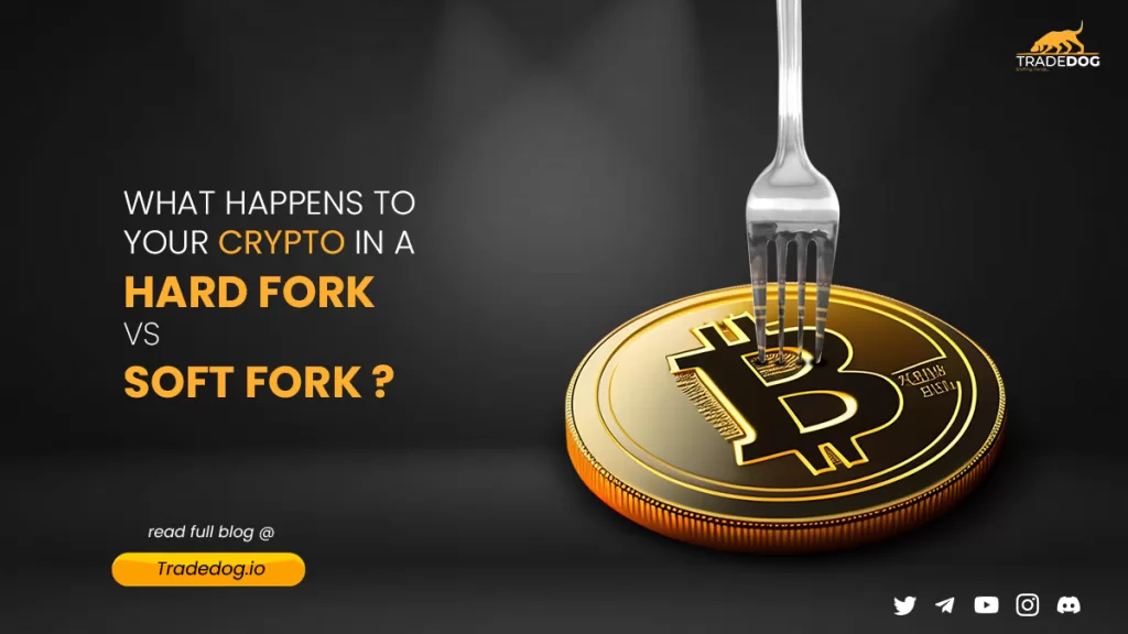 Soft Fork vs Hard Fork