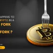 Soft Fork vs Hard Fork