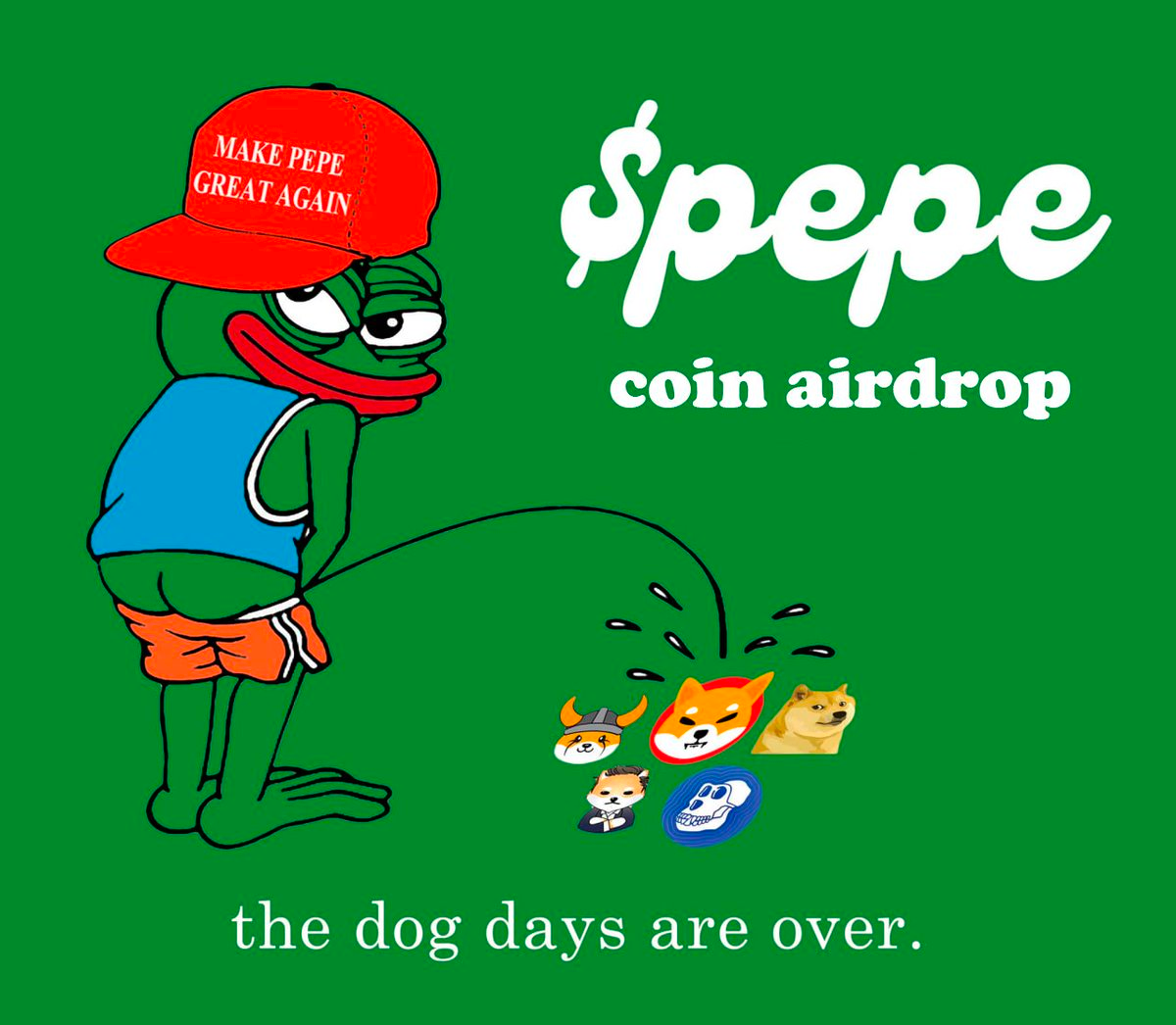 Pepe Coin The most memeable Memecoin - Meme Coin