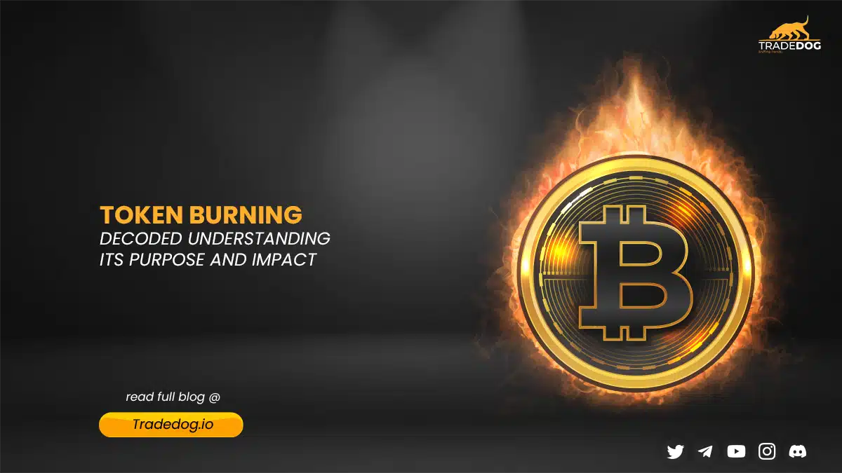 Token Burning Decoded: Understanding its Purpose and Impact