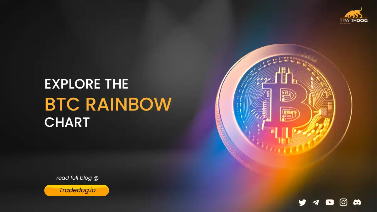 Explore the BTC Rainbow Chart
