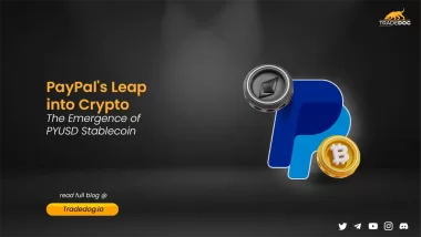 PYUSD Stablecoin