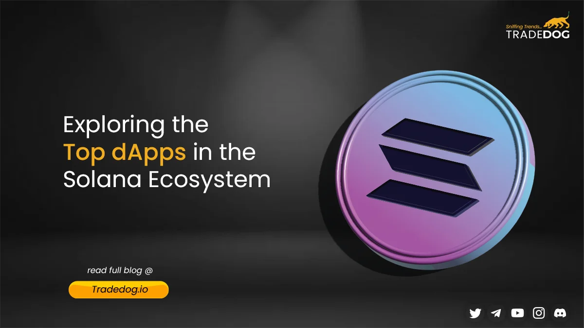 Exploring Top Dapps in the Solana Ecosystem