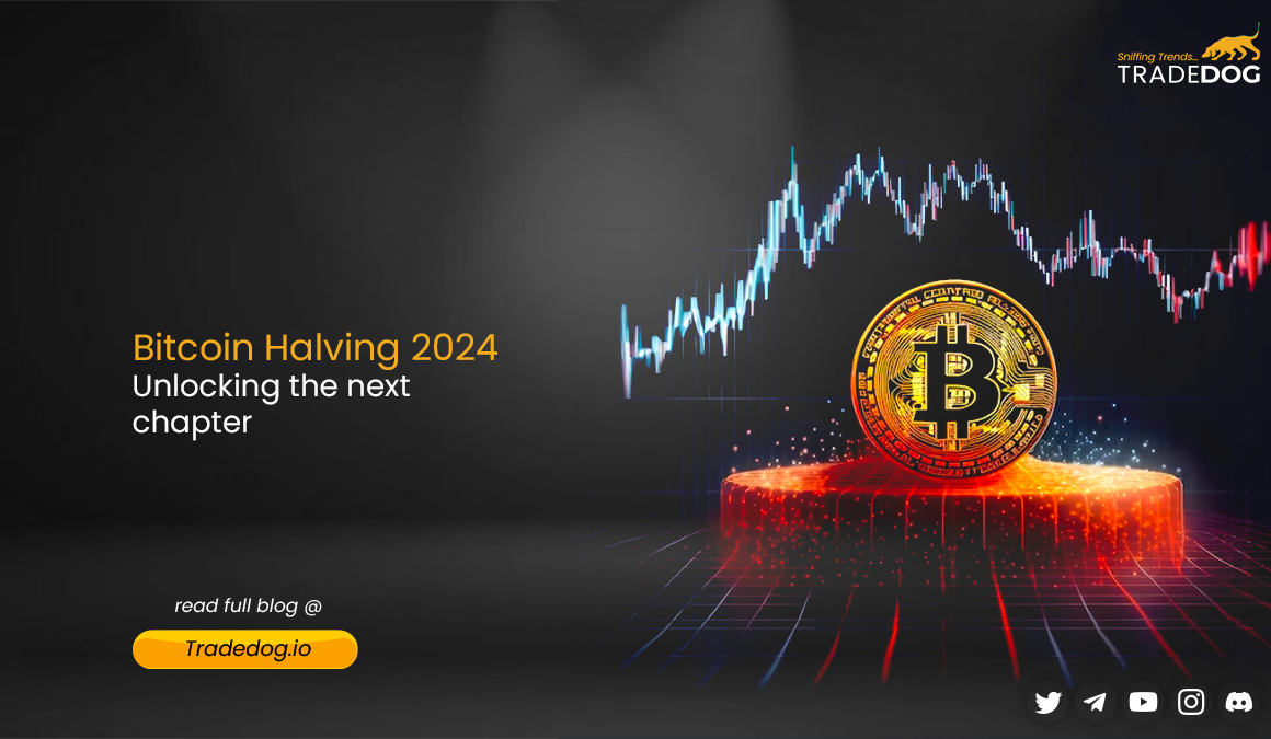 Bitcoin Halving 2024 Unlocking the next chapter