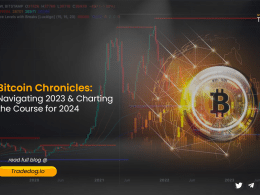 Bitcoin chronicles