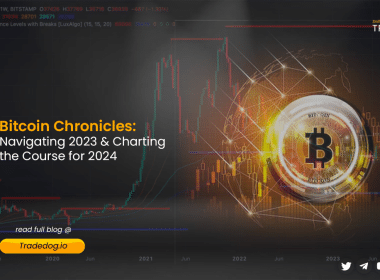 Bitcoin chronicles