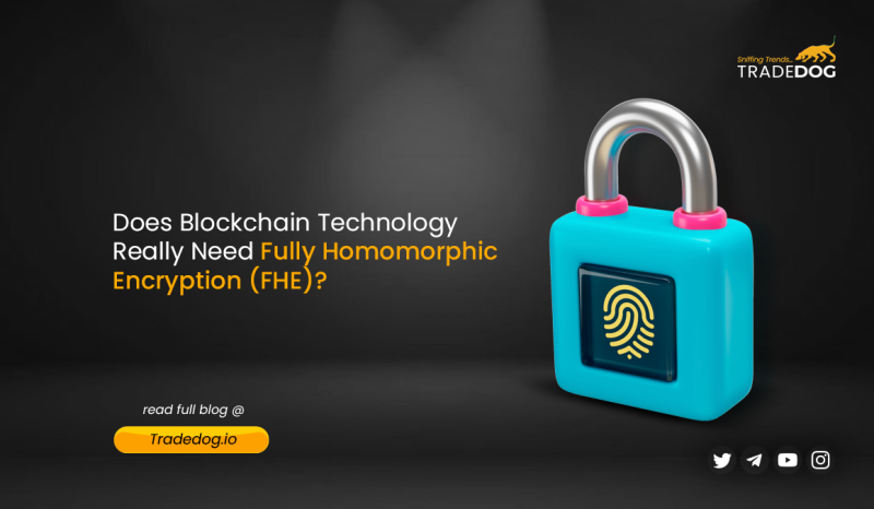 Does Blockchain Technology Really Need Fully Homomorphic Encryption (FHE)?