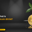 What is Bitcoin BitVM?