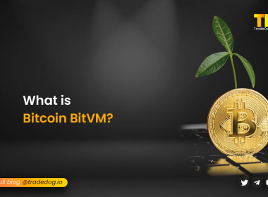 What is Bitcoin BitVM?