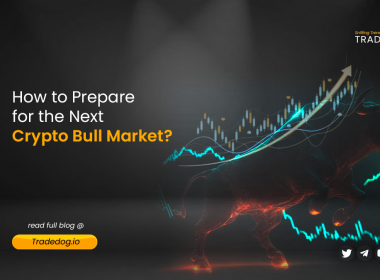 bull crypto market