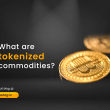 Tokenized Commodities