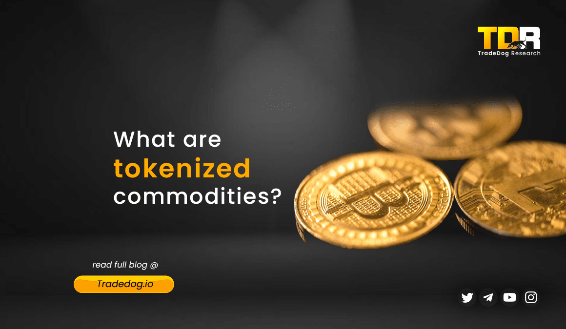 Tokenized Commodities