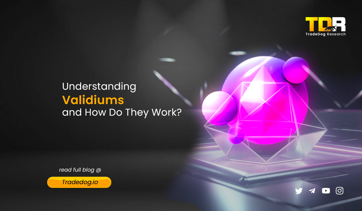 validiums