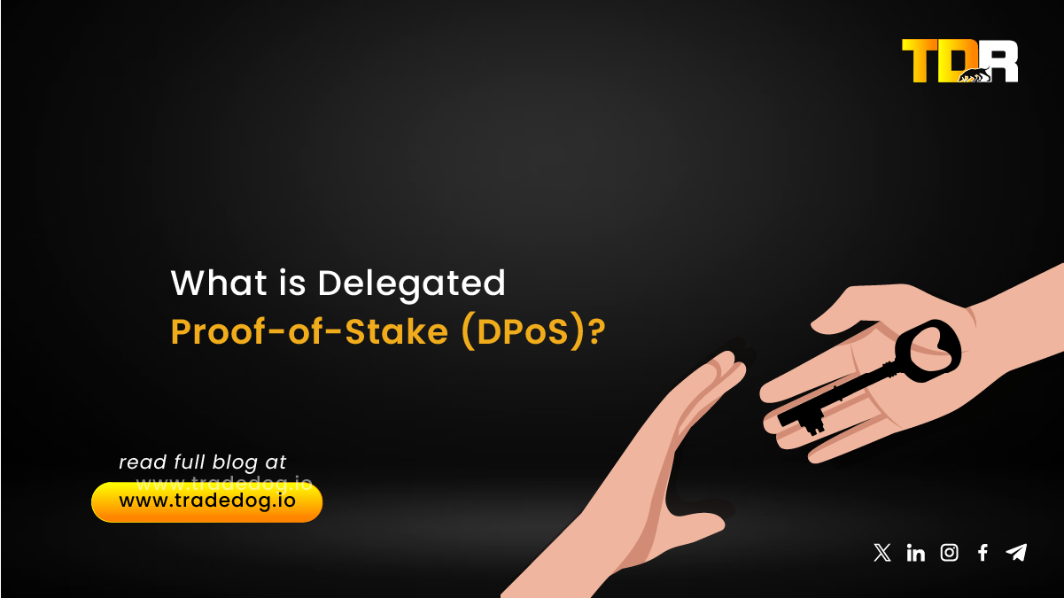 What Is Delegated Proof-of-Stake (DPoS) - TradeDog