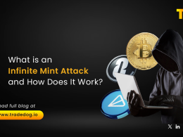 Infinite Mint Attack