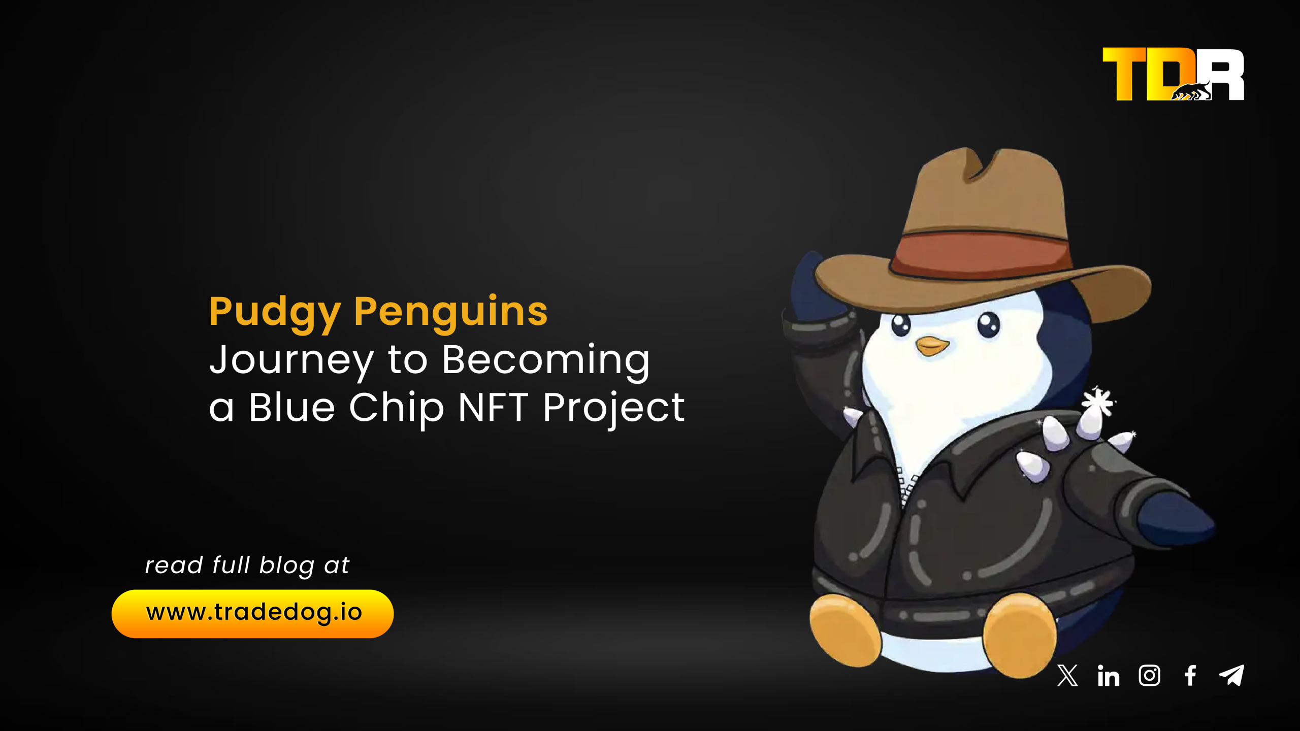 Pudgy Penguins Journey to Becoming a Blue Chip NFT Project - TradeDog