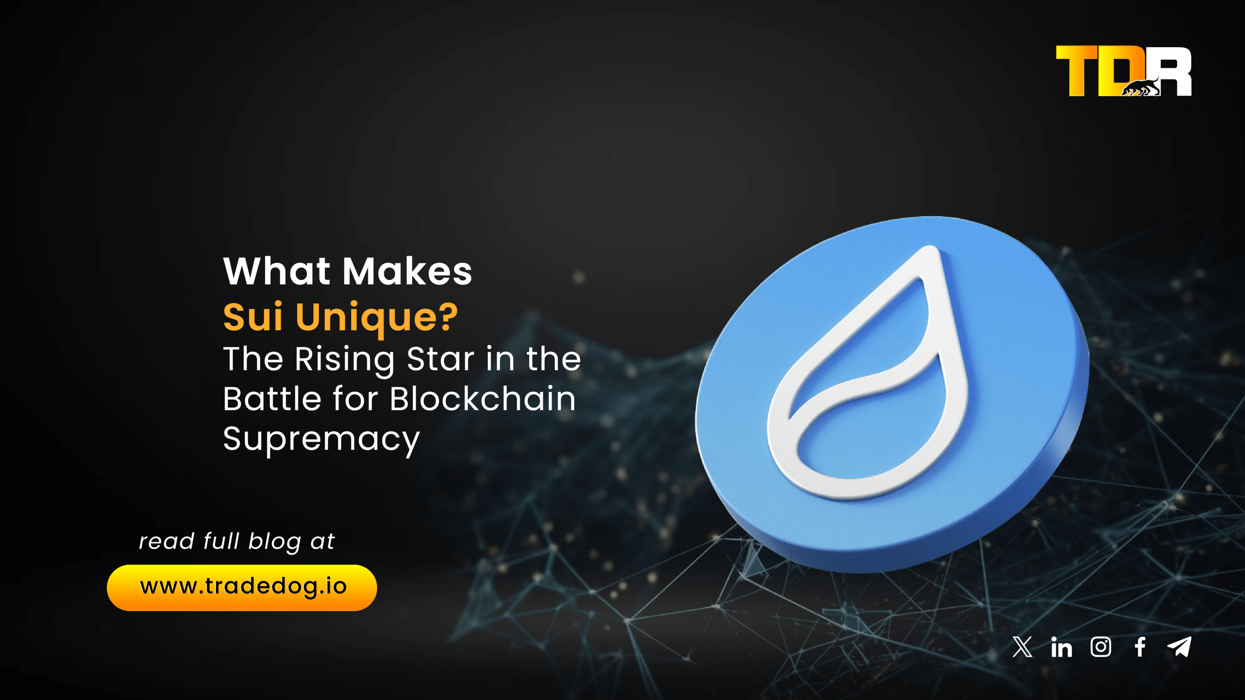 What Makes Sui Unique? The Rising Star in the Battle for Blockchain  Supremacy - TradeDog