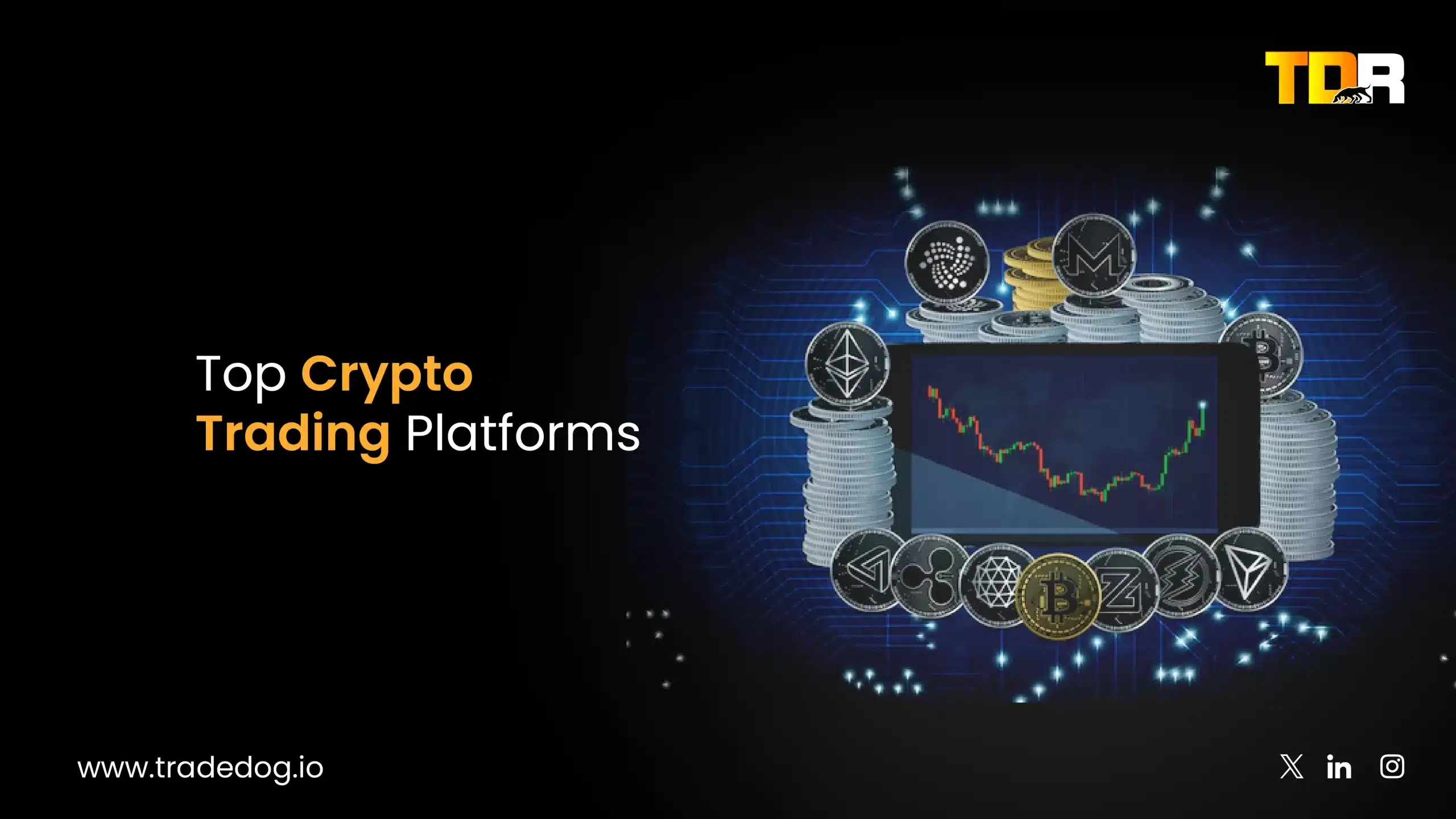 Top Crypto Trading Platforms - TradeDog